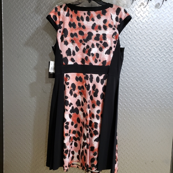 NWT JAX majestic black / red / pink shades animal print beauty (12) 🔥 - Picture 3 of 11